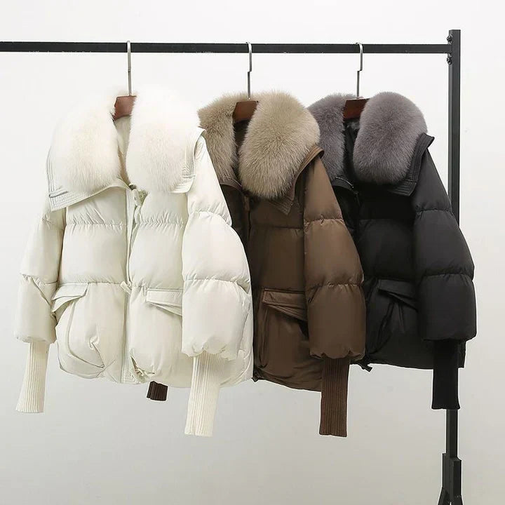 Valine | Stylish Jacket